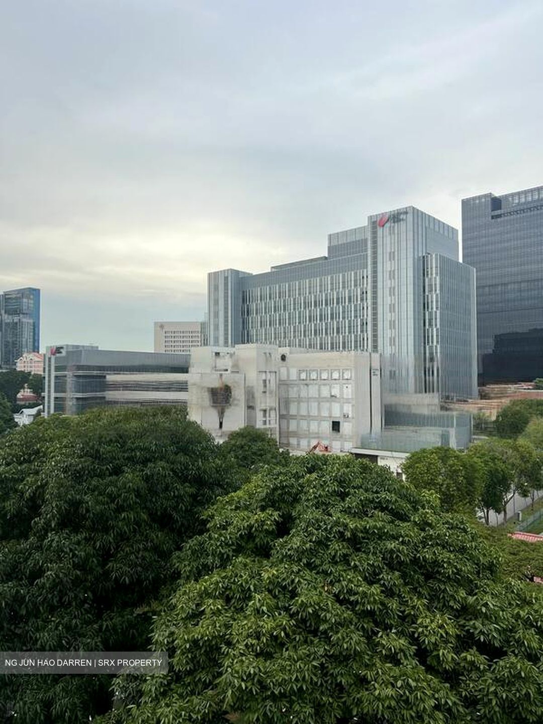 Moulmein Court (D11), Apartment #463152771